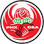 Image of Phoenix DSA Fund